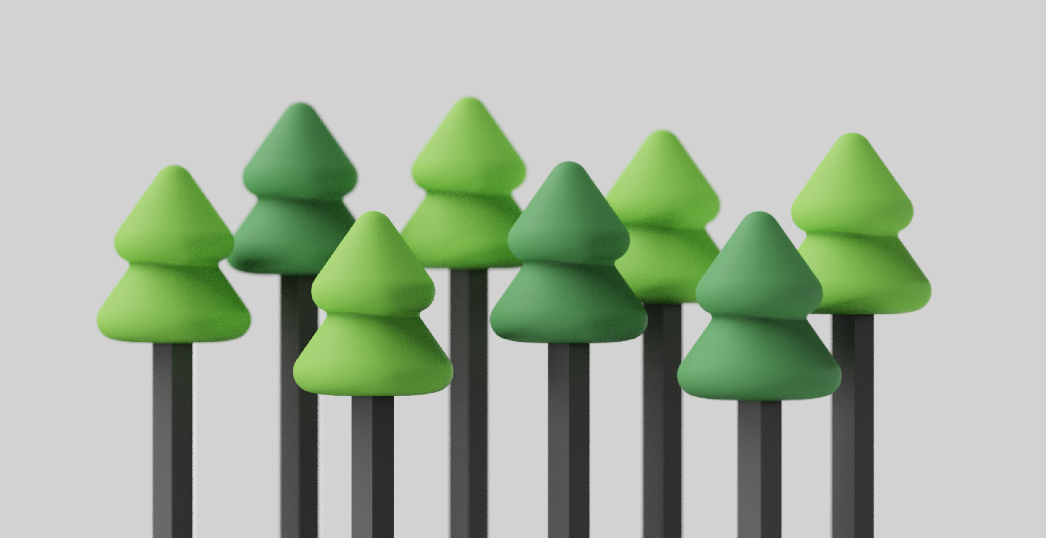 Pine